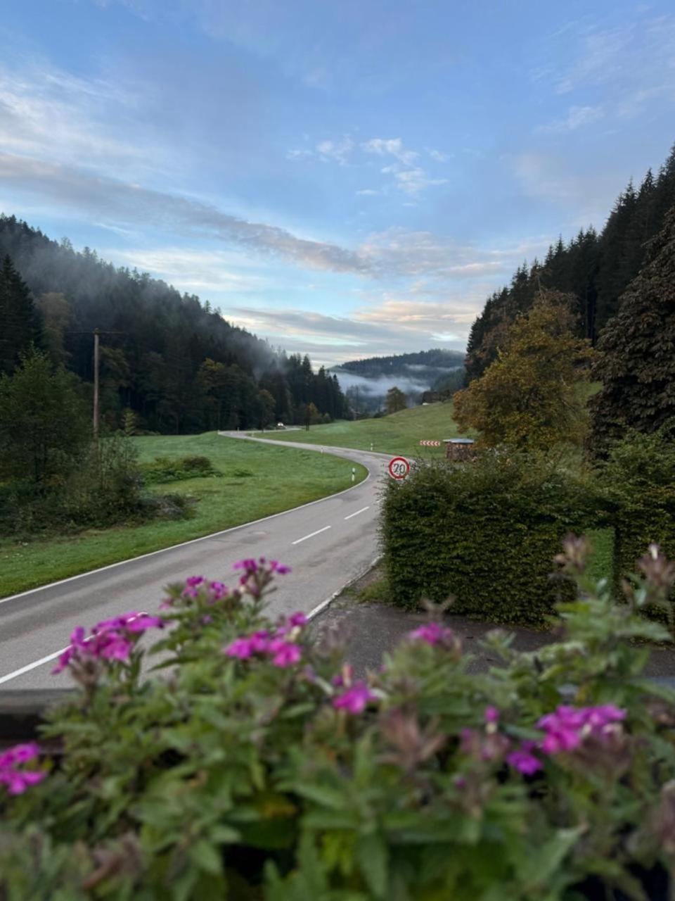 Be Me Black Forest Family Apartment -Zum Letzten G'Stehr Bad Rippoldsau-Schapbach Esterno foto