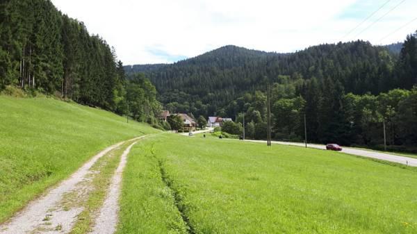 Be Me Black Forest Family Apartment -Zum Letzten G'Stehr Bad Rippoldsau-Schapbach Esterno foto